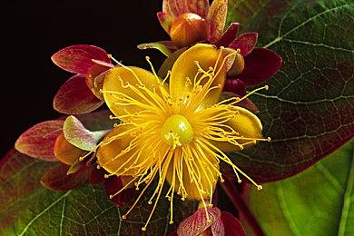 《无主之地4》海量消息汇总：四位新主角、八大武器制造商、全新机制