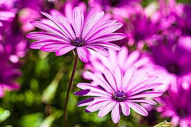 腾讯《无畏契约》国服今日终测 20名英雄爽玩