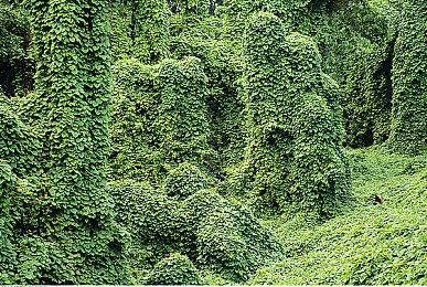 Fami通新一周销量榜 《女神异闻录3 Reload》登顶